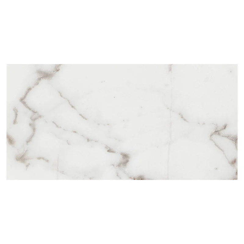 Origines de Rex Argent Matte 30x60 cm - Slika 3