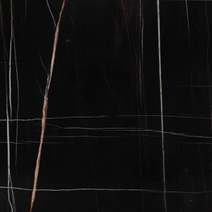 Sahara Noir