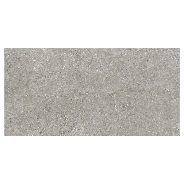 Sensi Grey Fossil 60x120 cm