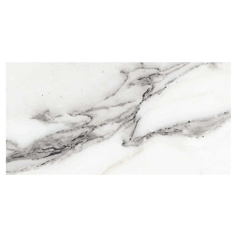 Origines de Rex Argent Matte 30x60 cm - Slika 2